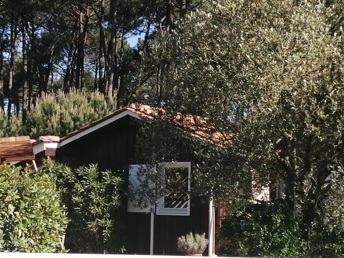 Maison Familiale En Bois Avec Piscine, Proche Du Bassin Gujan-Mestras Dış mekan fotoğraf